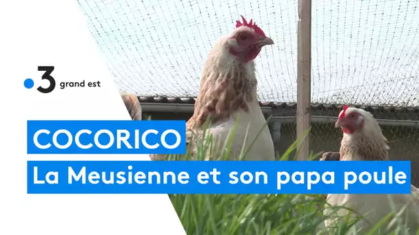 Une bien belle poule la Meusienne