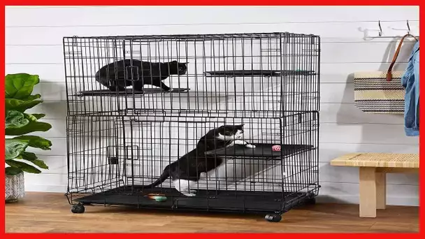 Amazon Basics 3-Tier Wire Cat Cage Playpen Kennel, Large, 36 x 22 x 51 Inches, Black