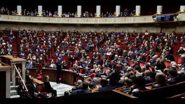 Avec des dissidents LREM, un 9e groupe va-t-il voir le jour à l'Assemblée nationale ?