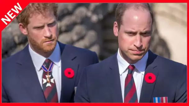 ✅  William et Harry : l’argent, le nerf de leur guerre depuis toujours