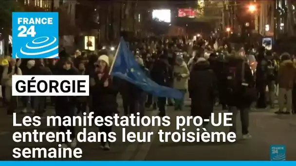 Géorgie : les manifestations pro-UE entrent dans leur troisième semaine • FRANCE 24