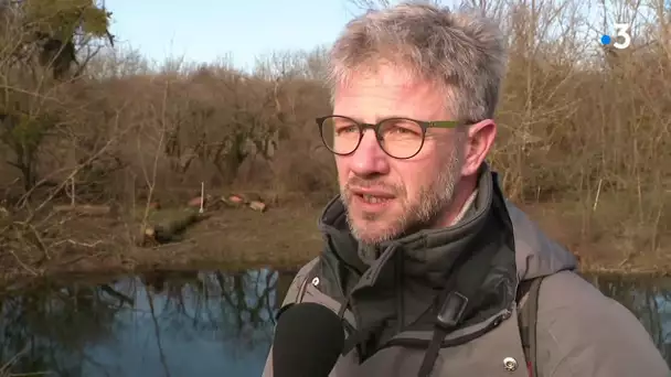 Journée mondiale des Zones Humides : l'exemple dans le Jura de l'Île Girard