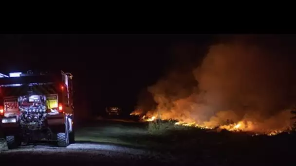 Incendies dans le Morbihan : 75 hectares ont brûlé, les feux fixés dimanche matin