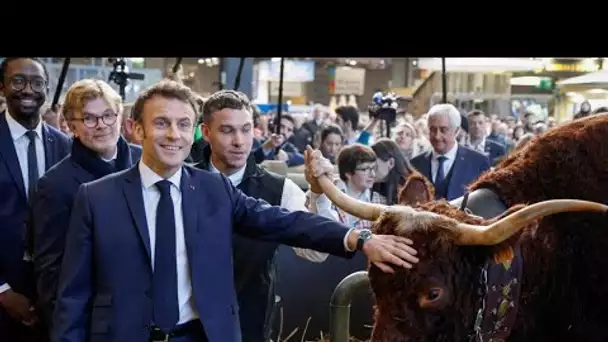 Le Salon de l'agriculture ouvre ses portes à Paris, Emmanuel Macron au contact du monde rural