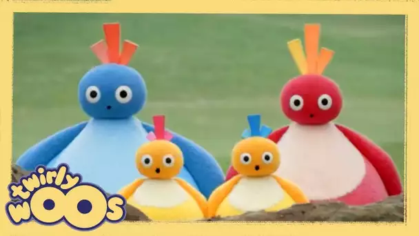 Roulant | Twirlywoos | WildBrain Enfants