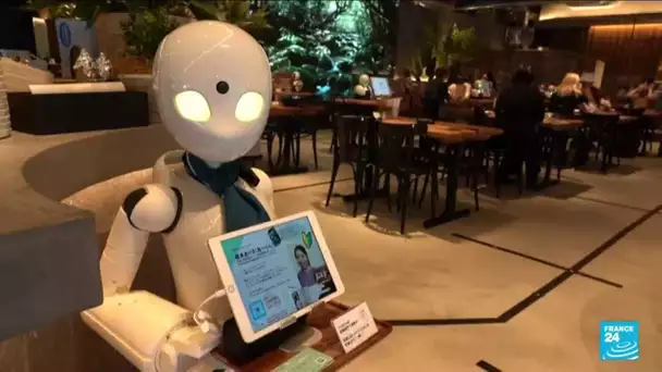 Handicap : à Tokyo, un café avec des robots fait le pari de l'inclusion • FRANCE 24