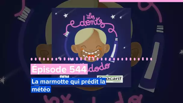 Les dents et dodo - Épisode 544 : La marmotte qui prédit la météo