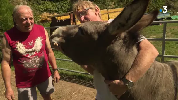 Les sabots de l'espoir : Avec Michel et Gérard, Ponpon a retrouvé une famille