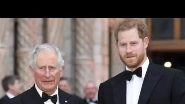 Le prince Charles « profondément blessé » par les propos de son fils Harry, il...