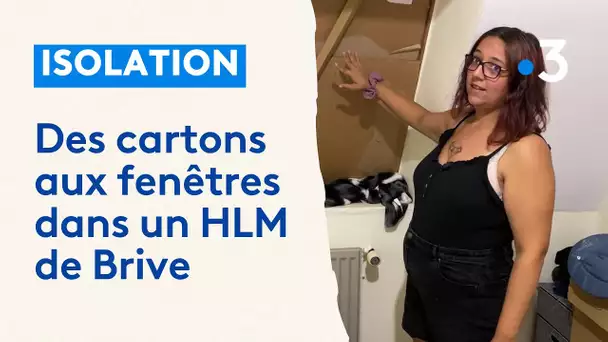 Barricadés derrière des cartons pour faire face au manque d'isolation