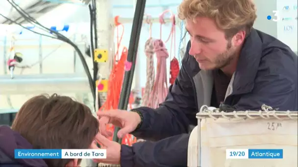 La Rochelle : le voilier scientifique Tara en escale à La Rochelle