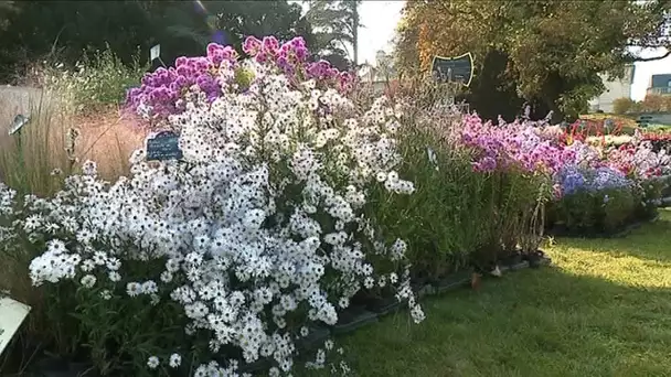 Les Journées des Plantes à Chantilly en octobre 2018