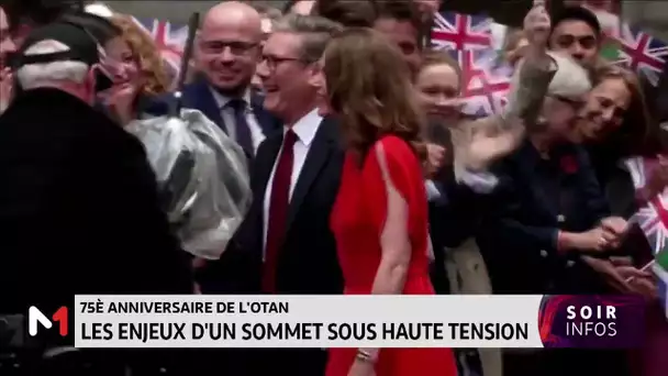 75ème anniversaire de l´OTAN : les enjeux d´un sommet sou haute tension