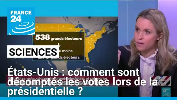 États-Unis : comment sont décomptés les votes lors de la présidentielle? • FRANCE 24