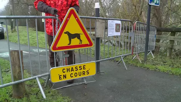 Chasse : une opération pour réguler les sangliers à Marsac-sur-l'Isle