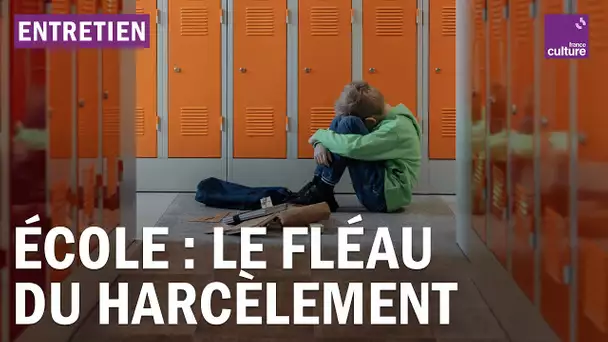 Lutte contre le harcèlement scolaire : l’État à la traîne ?