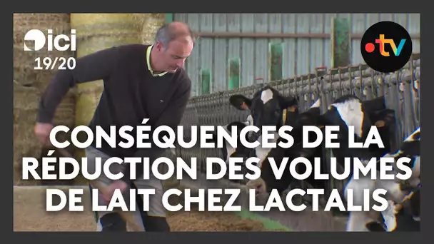 Lactalis : les conséquences de la réduction des volumes de collecte de lait chez les agriculteurs