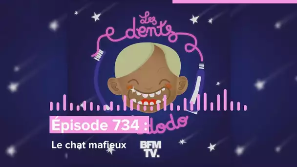 Les dents et dodo - “Épisode 734 : Le chat mafieux”