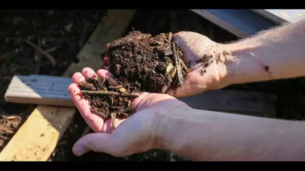 Qu'est-ce que le compost, obligatoire dans chaque foyer à partir du 1er janvier 2024 ?