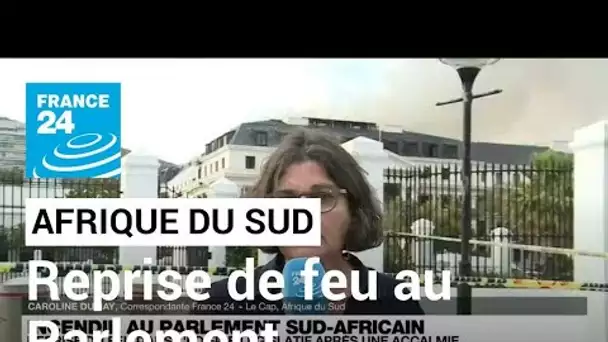 Afrique du Sud : l'incendie du Parlement reprend après une accalmie • FRANCE 24