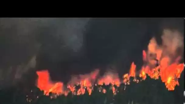 Impressionnants feux de brousse en Floride