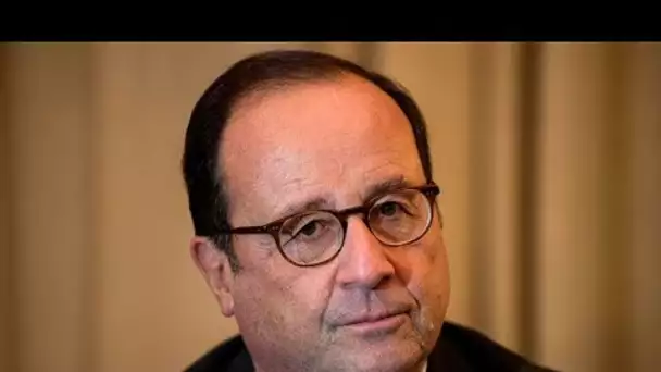 «Que sa propre famille le fustige est très mal passé» : comment François Hollande...