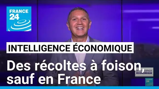 Des récoltes à foison, sauf en France • FRANCE 24