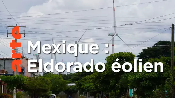 Mexique : le vent de la colère | ARTE