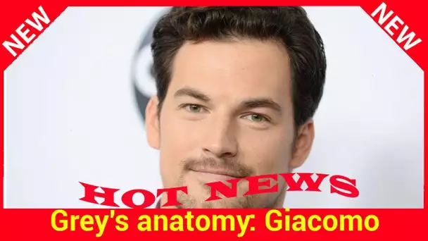 Grey's anatomy : Giacomo Gianniotti s'est marié