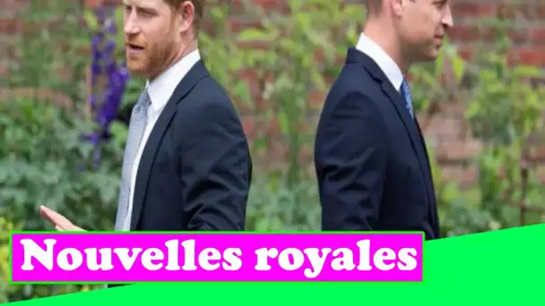 La querelle entre le prince Harry et William s'aggravera à propos de la fête commémorative de Diana,