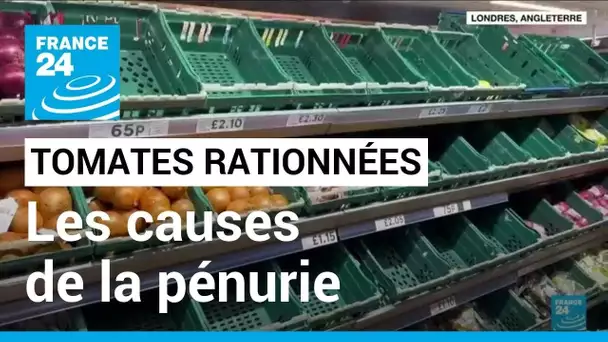 Tomates rationnées dans des supermarchés : les causes de la pénurie qui frappe l'Angleterre