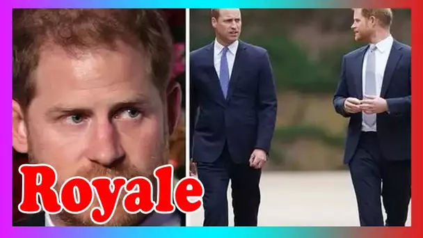 Le prince William a regardé Harry interviewer avec «choc et horreur»