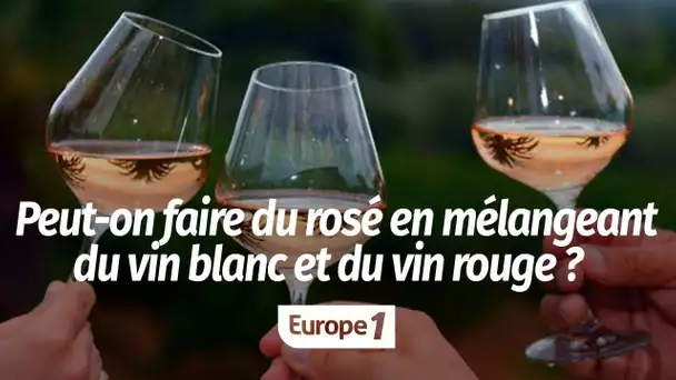 Peut-on faire du vin rosé en mélangeant du blanc et du rouge ?