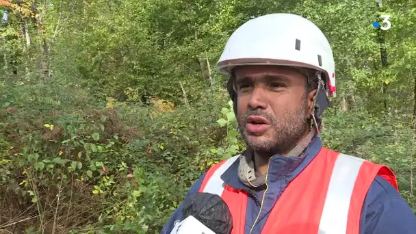 Coupures d’électricité en Corrèze suite aux coups de vent