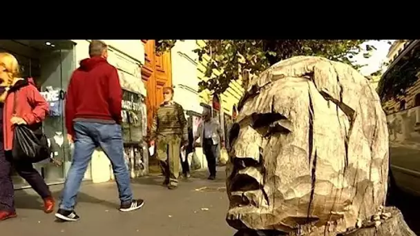 Des arbres morts reprennent vie grâce à l'art