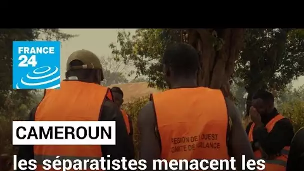 Violence au Cameroun : les séparatistes menacent les zones francophones • FRANCE 24