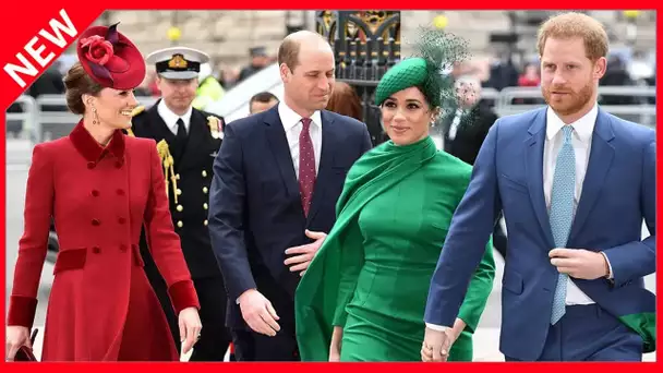 ✅  Meghan et Harry « espéraient des excuses » de William, ils ont été déçus…