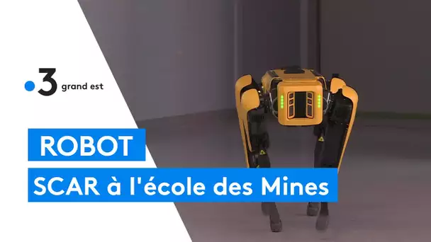 Scar, le robot à l'intelligence artificielle de l'école des Mines de Nancy