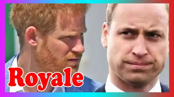 Le prince William cible du coup de pr0tection controversé du prince Harry