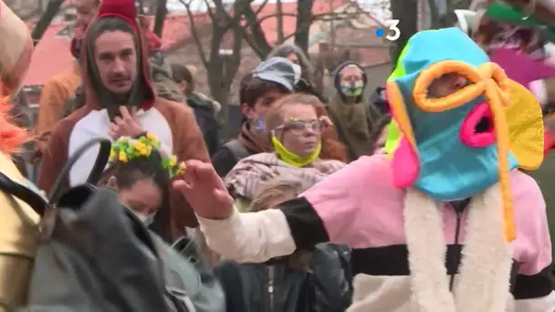 Un carnaval sauvage "pour oublier la Covid" réunit un millier de personnes à Toulouse