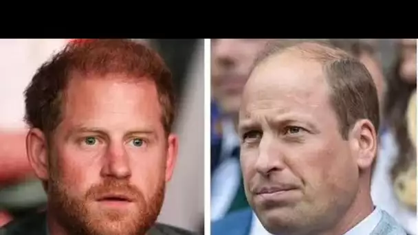 Les « vraies » réflexions du prince William sur l’accord Netflix du prince Harry dévoilées