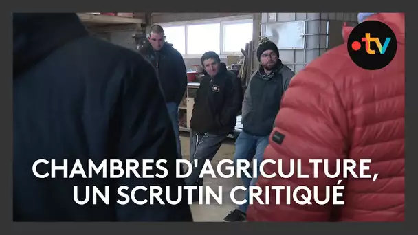 Elections des Chambres d'Agriculture, un scrutin critiqué