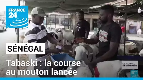 Tabaski au Sénégal : la course au mouton lancée • FRANCE 24