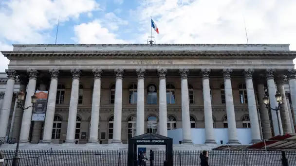 Les actions fractionnées : la future poule aux œufs d’or pour les épargnants ?