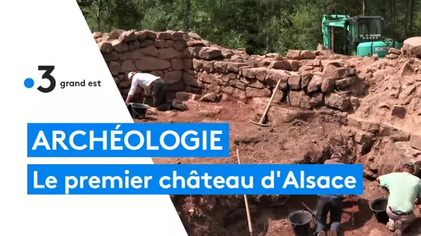 Le plus ancien château jamais fouillé en Alsace livre ses secrets