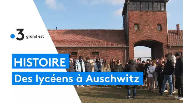 Des lycéens au camp d'extermination d'Auschwitz, une visite vive en émotions