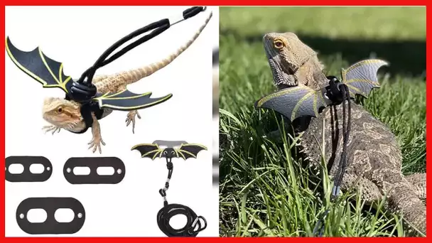 Adjustable Lizard Leash Bearded Dragon Harness Cool Leather Wings Safety Walking Leash(S,M,L,3pack)