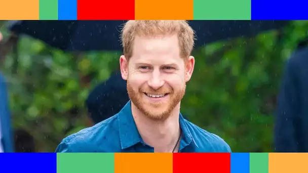 Prince Harry : son caleçon mis en vente par une strip-teaseuse atteint des sommes folles !