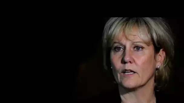 Nadine Morano : Son téléphone volé à Paris, elle porte plainte