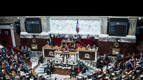 Projet de loi sur le pouvoir d'achat : le texte arrive à l'Assemblée Nationale